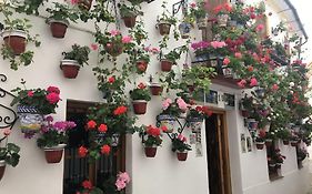 Apartamento Zoco Córdoba